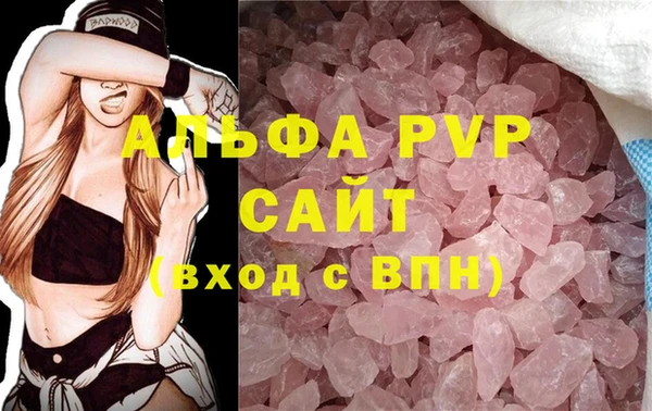 индика Вяземский