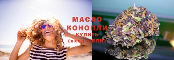 индика Вяземский