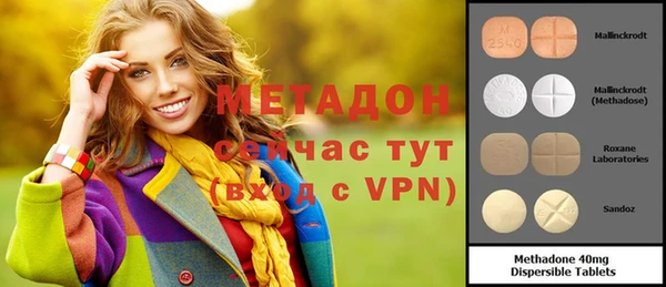 индика Вяземский