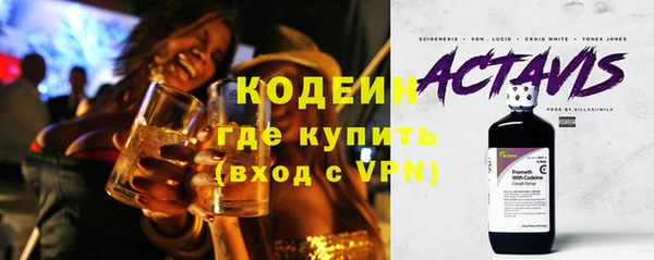 индика Вяземский
