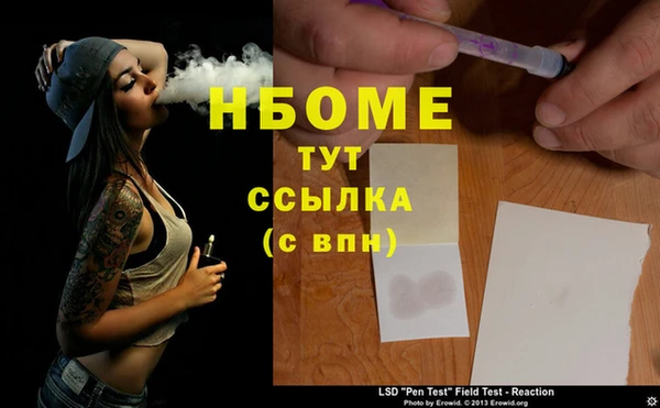 индика Вяземский