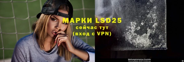 индика Вяземский