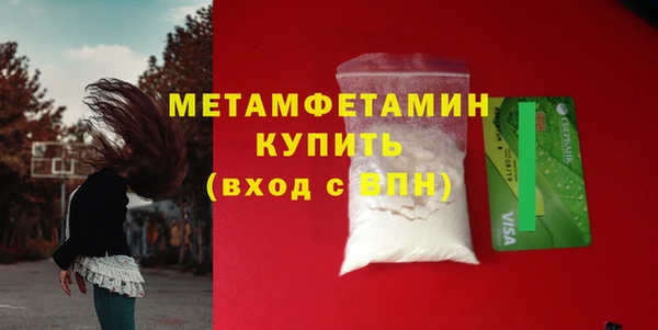 индика Вяземский