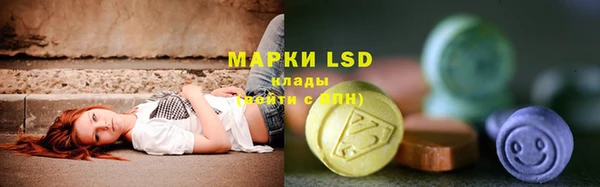 индика Вяземский