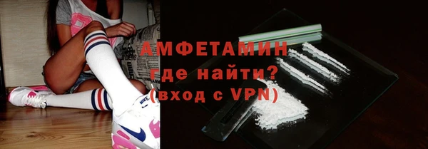 индика Вяземский