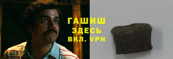 индика Вяземский
