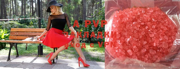 индика Вяземский