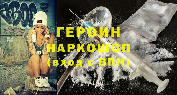 индика Вяземский