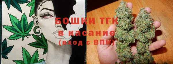 индика Вяземский