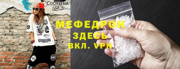 индика Вяземский
