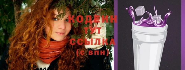 молекула духа Великий Новгород