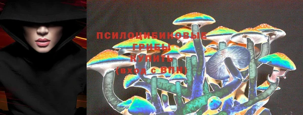 дурь Вязьма