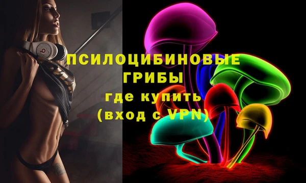 дурь Вязьма