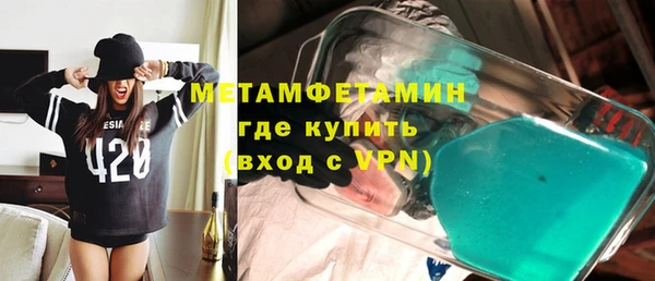 индика Вяземский