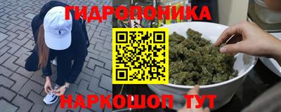 прущие крисы Волжский