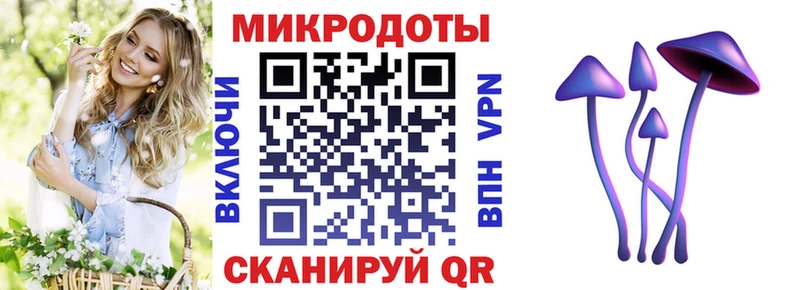 Псилоцибиновые грибы Psilocybe  дарнет шоп  Железногорск 