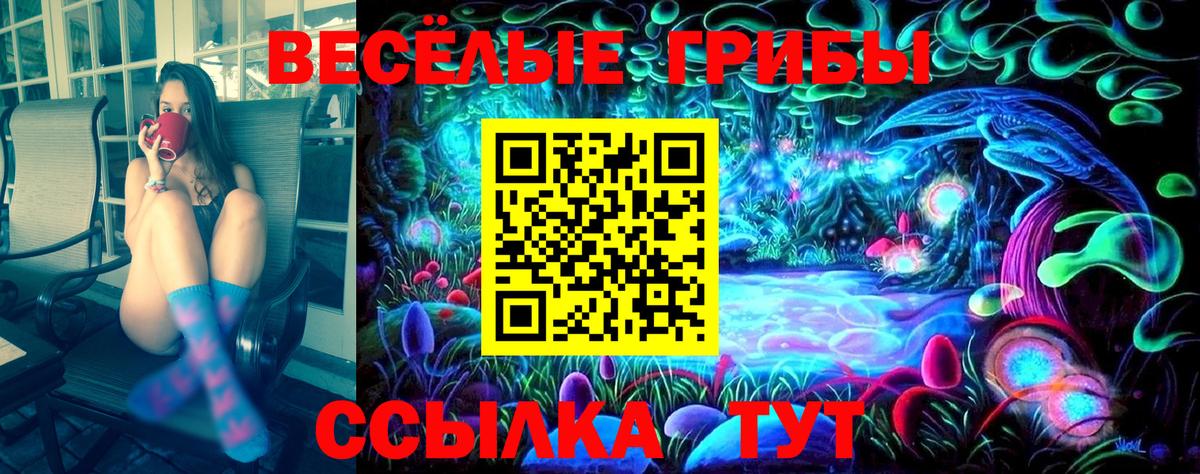 сколько стоит  Галлюциногенные грибы GOLDEN TEACHER  Железногорск  Вход с VPN  Псилоцибиновые грибы мухоморы 