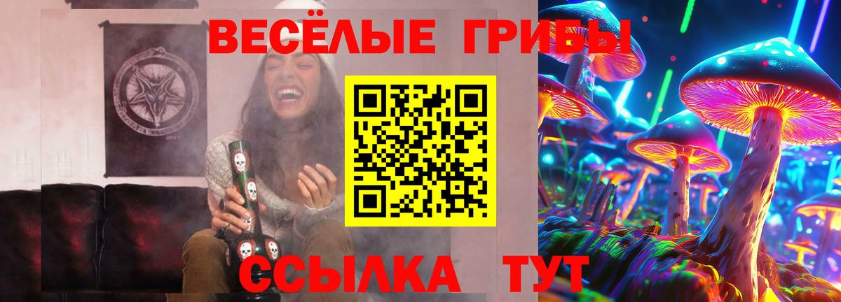 Псилоцибиновые грибы мухоморы Железногорск